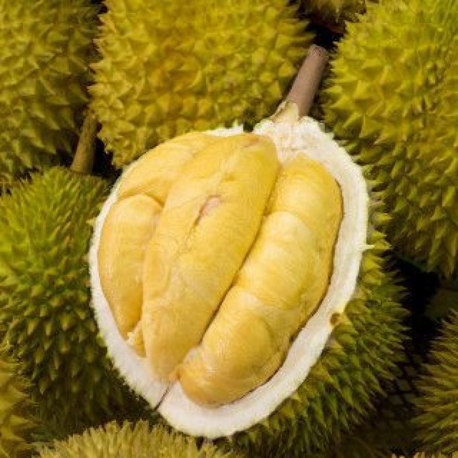 Anda Penikmat Durian? Waspadai Kadar Kalori dari Si Raja Buah Nan Lezat ini!